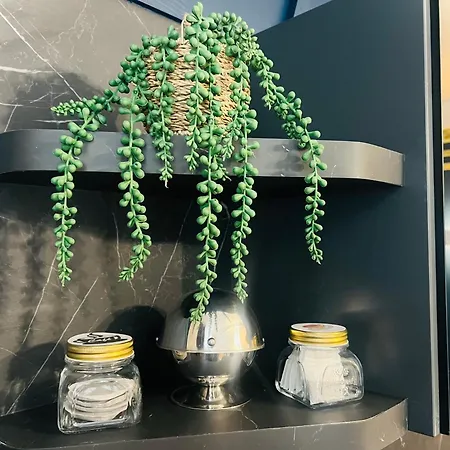 Penzion Royal Saint-omer Centre 3*